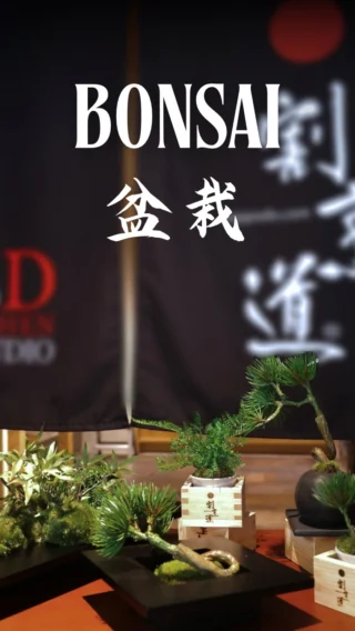 Bring the spirit of wabi-sabi into your home with our handcrafted bonsai from @kappodo_tokyo 🏠🍁

Designed to capture the beauty of nature and the charm of imperfection, each piece offers timeless tranquility without the need for maintenance🕰️

Since it’s artificial, you can take it abroad – a perfect way to carry a piece of Japan with you, wherever you go. 🌿✨

————
割烹道の盆栽で、暮らしに“侘び寂び”の趣を取り入れるのはいかがですか？

四季を通じて変わらぬ美しさを保ち、枯れることなく、忙しい日々でもお手入れ不要。

自然の息吹を映しながら、時を超えて寄り添う小さな安らぎをお届けします。 🌿

#tokyotrip #japanlife #wabisabistyle #kapodo #kapo #tokyosouvenir #japansouvenir #bonsai